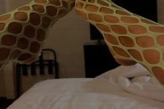 Incalls & Outcalls Available now 🎀Exotic princess better and wetter than her ⬆ and her⬇ highley favored, gifted & addictive🍭💦👅 - Image 6