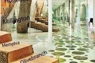 👄👄OLIVEBRANCH👄👄 WEST MEMPHIS 👄👄 HORNLAKE 👄👄 SOUTHAVEN 👄👄 MEMPHIS 👄👄 LAKELAND 👄👄 MILLINGTON 👄👄YES I DO SPEAK ENGLISH AND SPANISH 👄👄 KITTY / GATITA👄👄👄 - Image 10