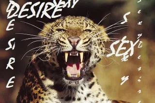 👄👄OLIVEBRANCH👄👄 WEST MEMPHIS 👄👄 HORNLAKE 👄👄 SOUTHAVEN 👄👄 MEMPHIS 👄👄 LAKELAND 👄👄 MILLINGTON 👄👄YES I DO SPEAK ENGLISH AND SPANISH 👄👄 KITTY / GATITA👄👄👄 - Image 8