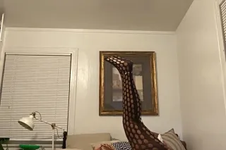 🥰🥰 I WANT TO VISIT YOUR TOWN🥰🥰HELP ME GET THERE🥰🥰 - Image 7